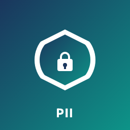 PII Shield App Icon